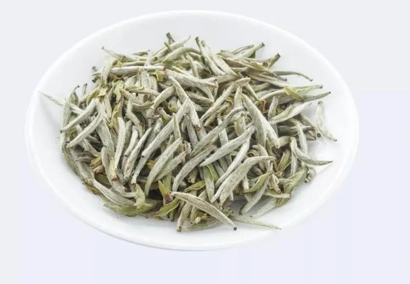 White Tea Silver Needle.webp White Tea Silver Needle.webp