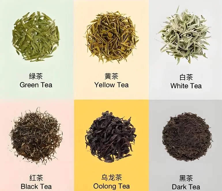 six-tea-types-classification.webp six-tea-types-classification.webp