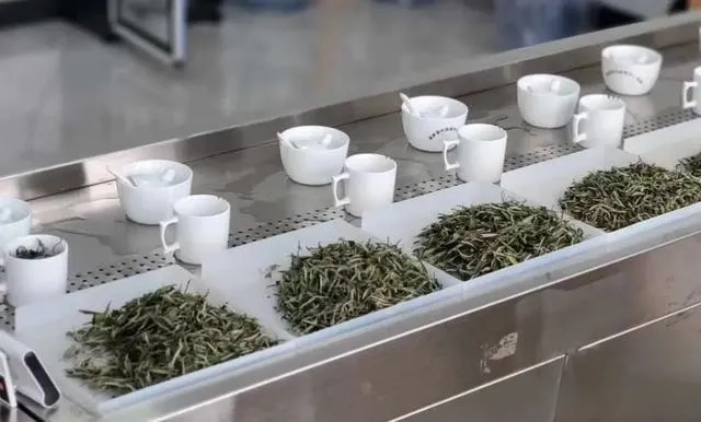 how-to-judge-tea-quality.webp how-to-judge-tea-quality.webp