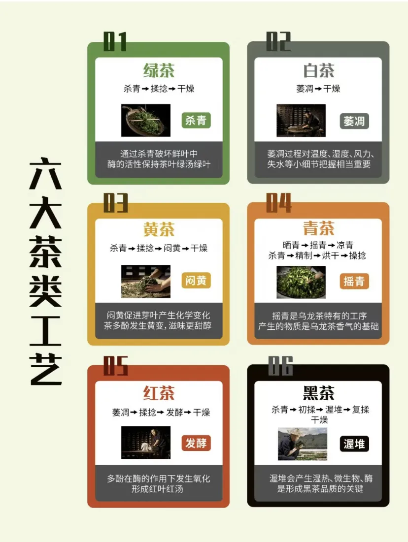 Why is Chinese tea divided into six categories.webp Why is Chinese tea divided into six categories.webp