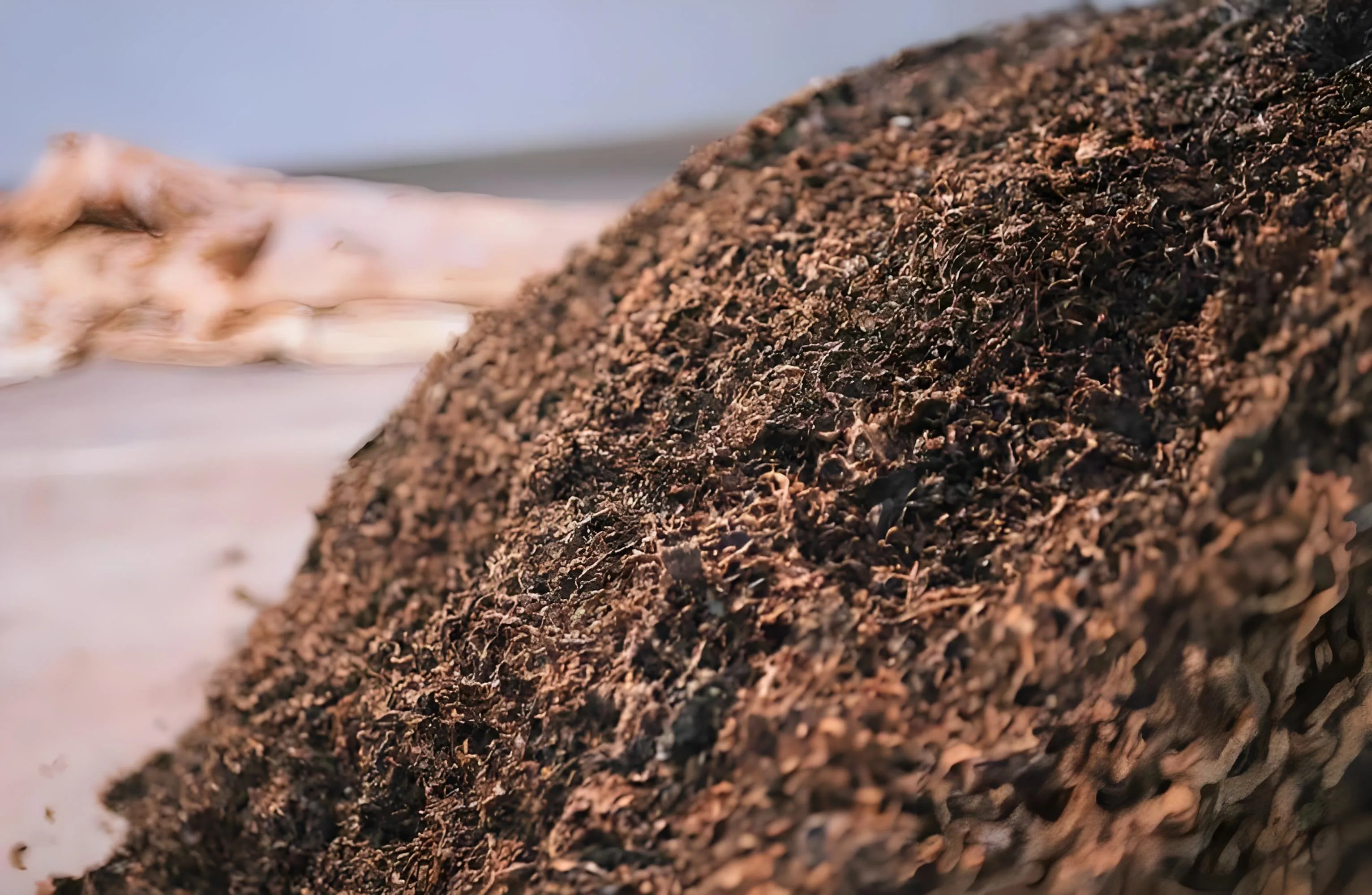 What does tea fermentation mean.webp What does tea fermentation mean.webp